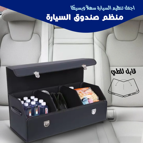 منظم سيارة عملي